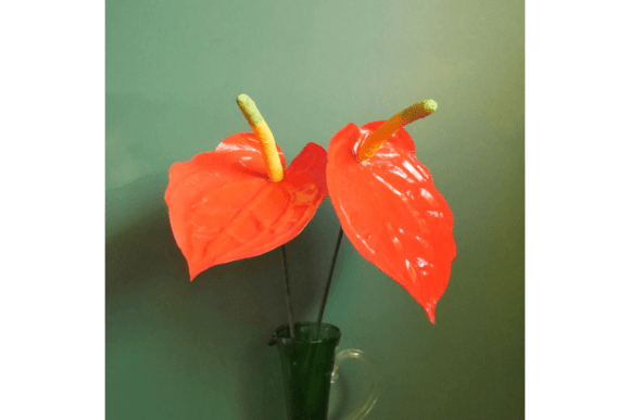 3D SVG Paper Flowers Anthurium for Modern Branding