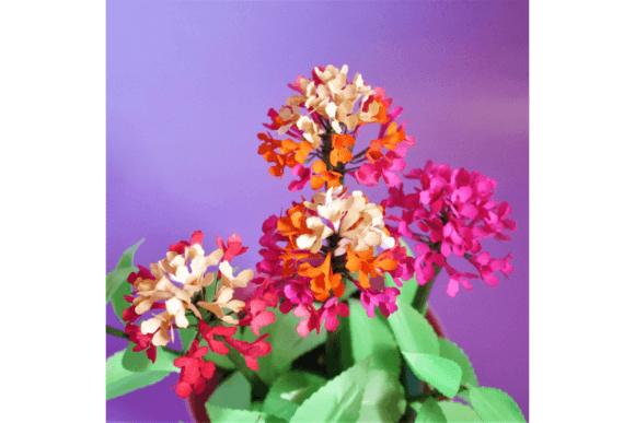 3D SVG Paper Flowers: Lantana Calippo Review for Digital Sellers
