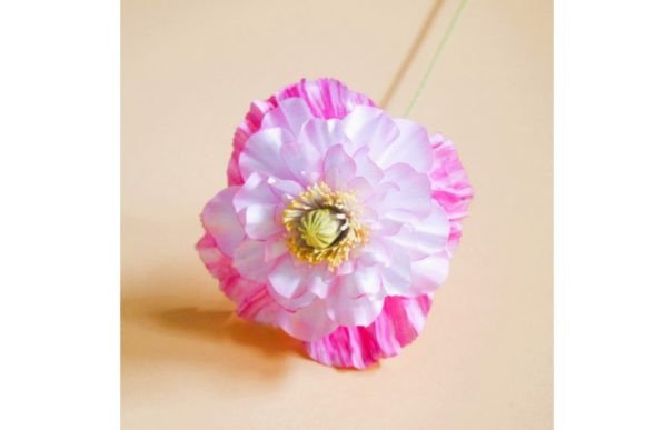 Angel s Choir - Shirley Poppy 3D SVG for Paper Flowers