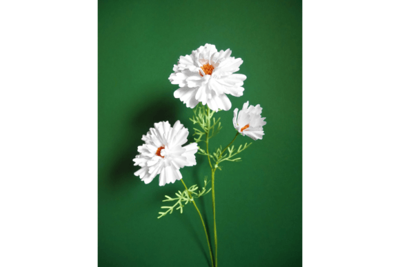 Double Cosmos 3D SVG: A Paper Flower Design for Real Crafters