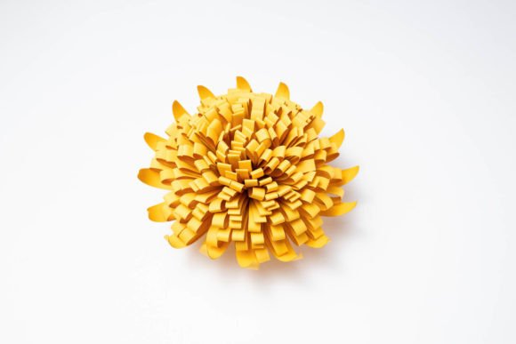 Fluffy Flower - Big Bear Sunflower 3D SVG Review