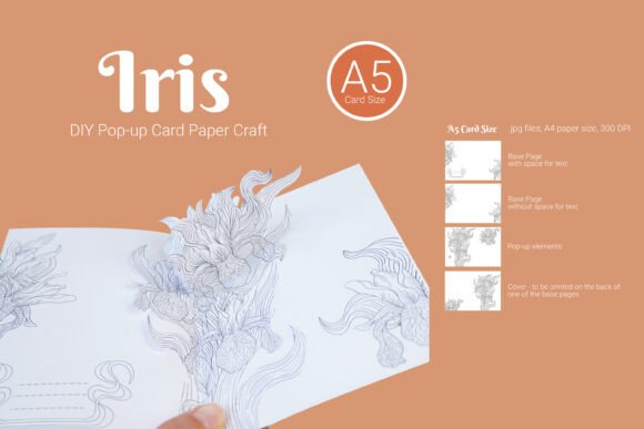 Iris Coloring 3D Popup Card for Paper Flowers and Branding