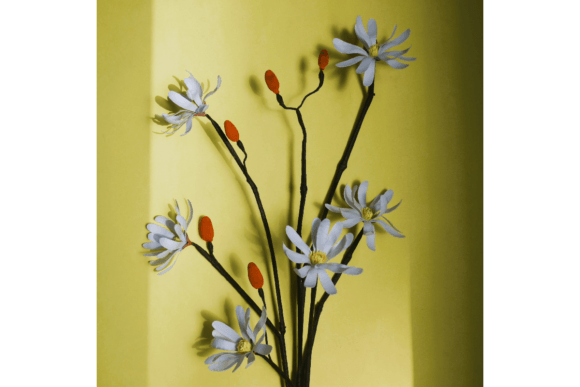 Magnolia Kobus Stellata 3D SVG: A Paper Flower for Professional Branding