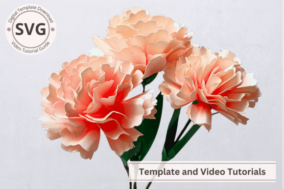 Paper Flower Two Tone Carnation Template – A 3D SVG for Paper Flowers