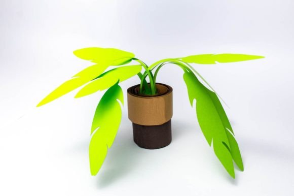 Rolled Plant - Bird of Paradise 3D SVG for Flower-Themed Design Projects