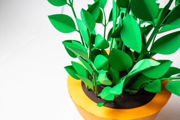 ZZ Plant Succulent 3D SVG for Cacti And Succulents Lovers